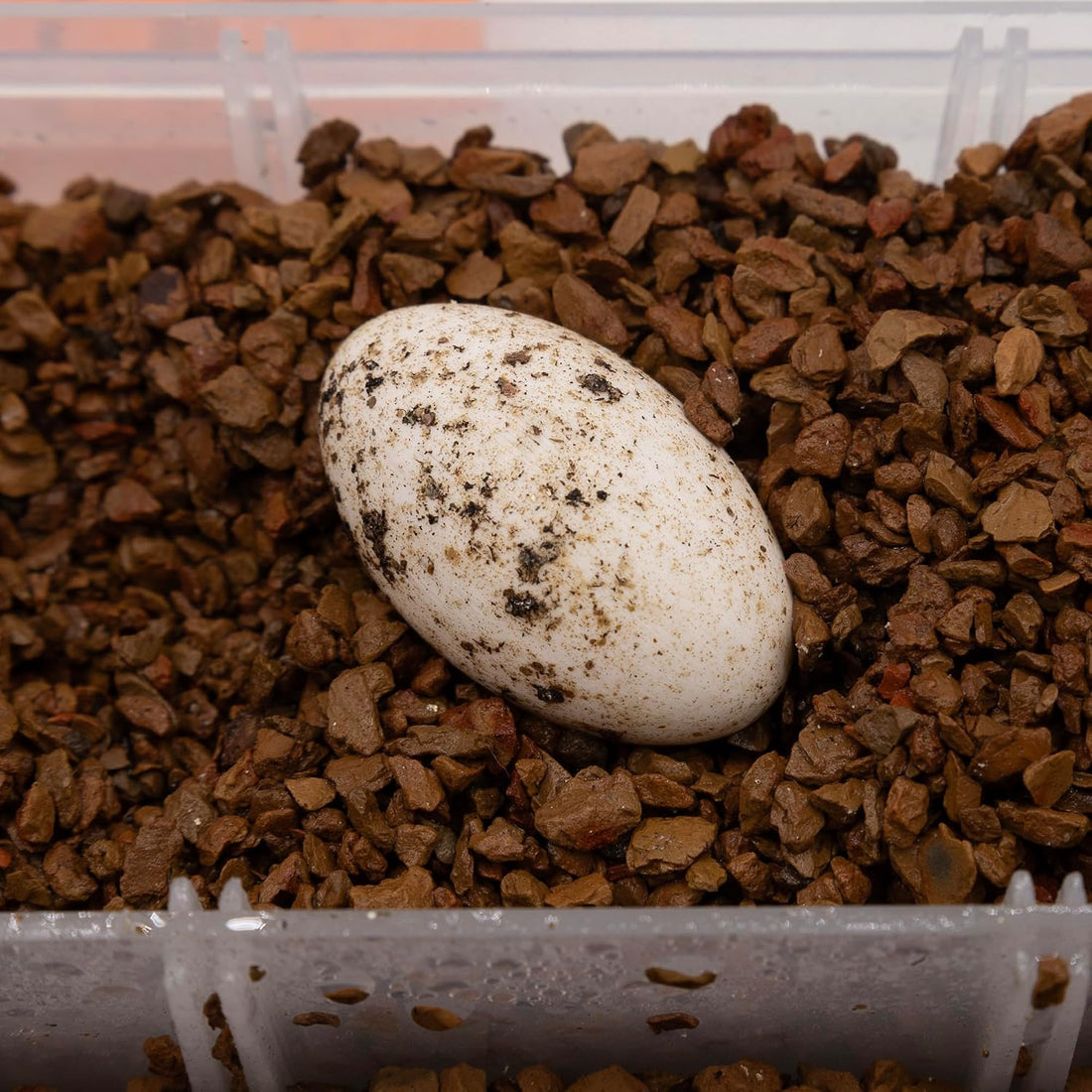 Pangea Hatch Premium Reptile Egg Incubation Substrate, 2 lb