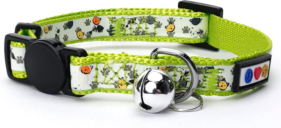 Pawtitas Glow in the Dark Cat Collar with Breakaway Safety Buckle