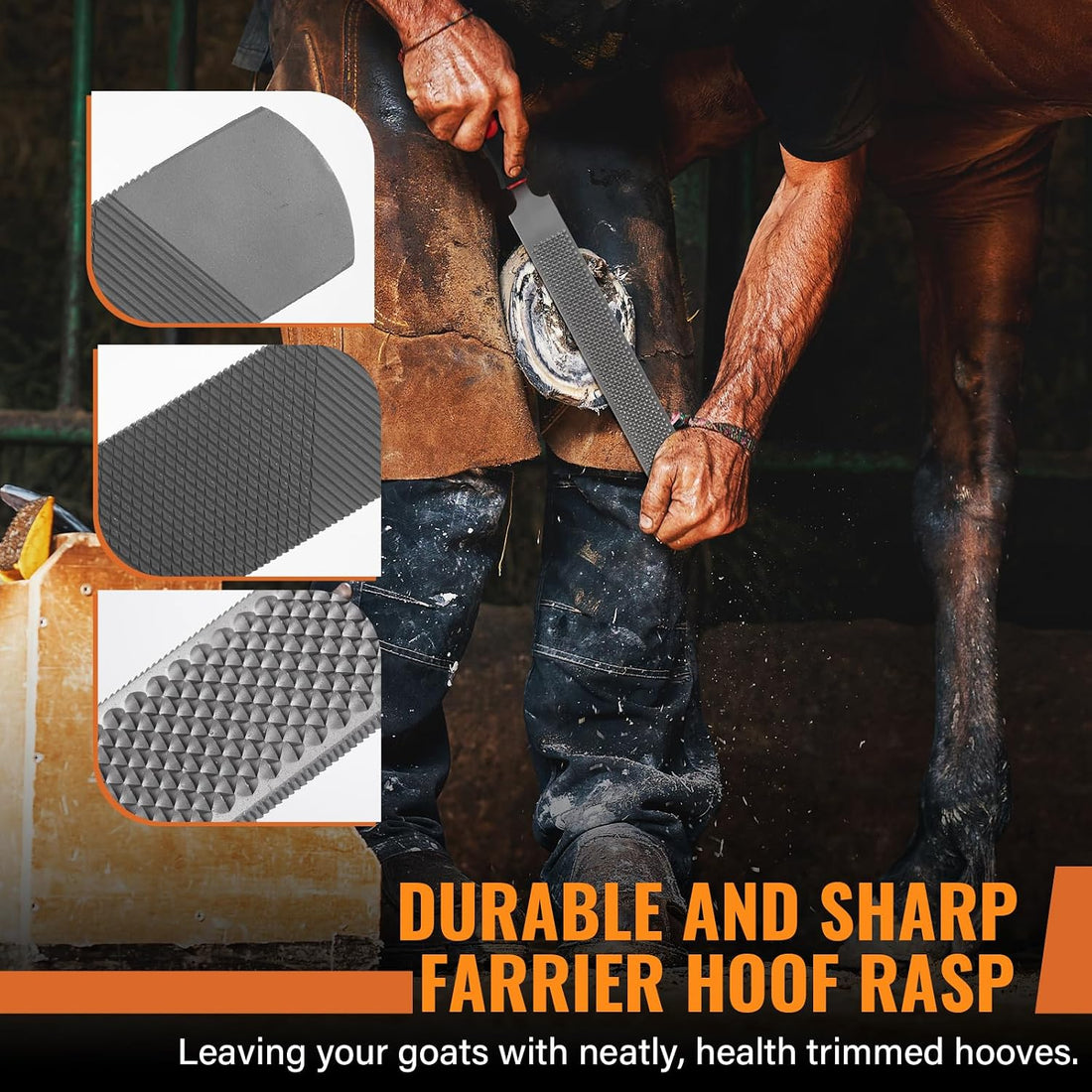 18Inch Professional Farrier Hoof Rasp