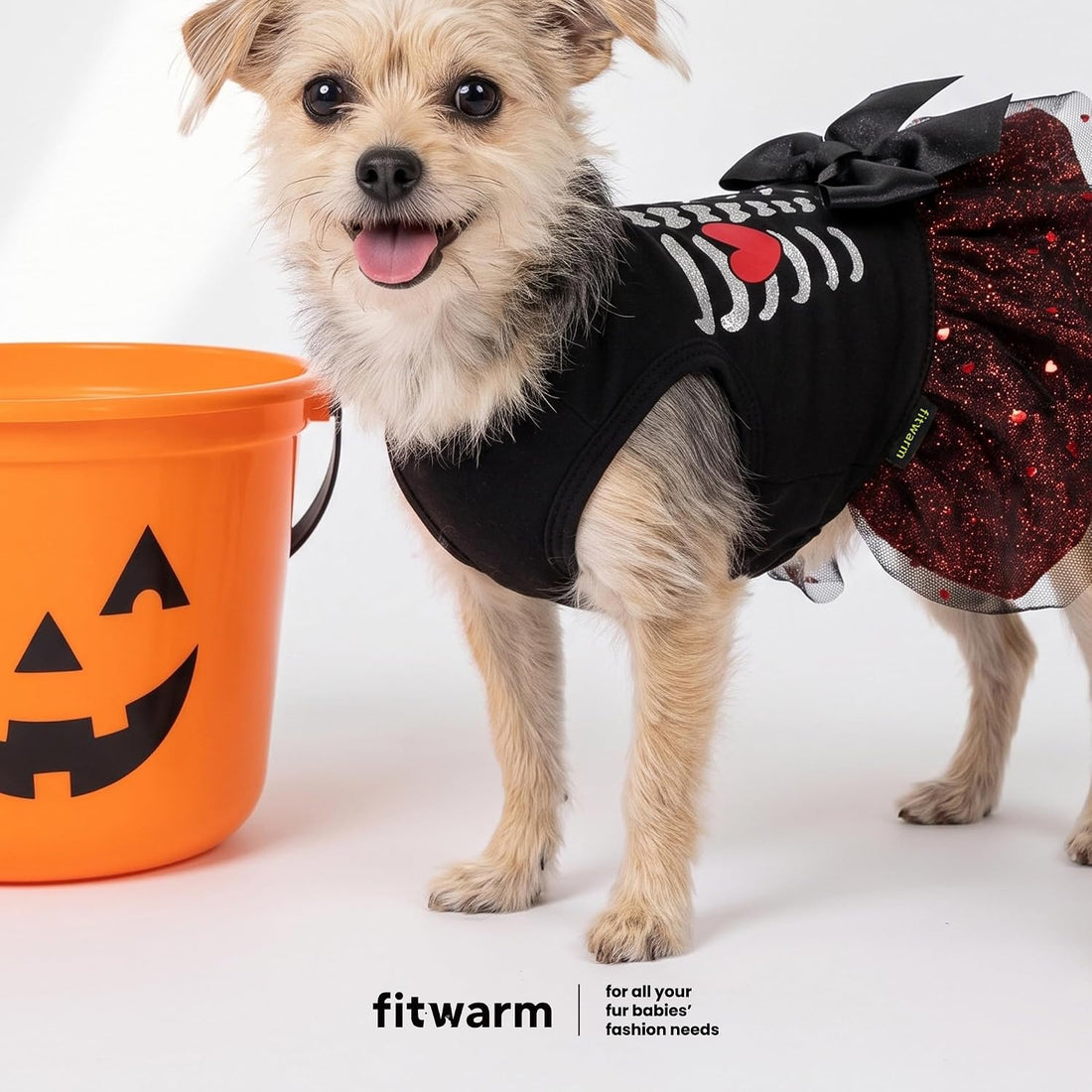 Fitwarm Halloween Skeleton Dog Dress, Funny Dog Halloween Costumes