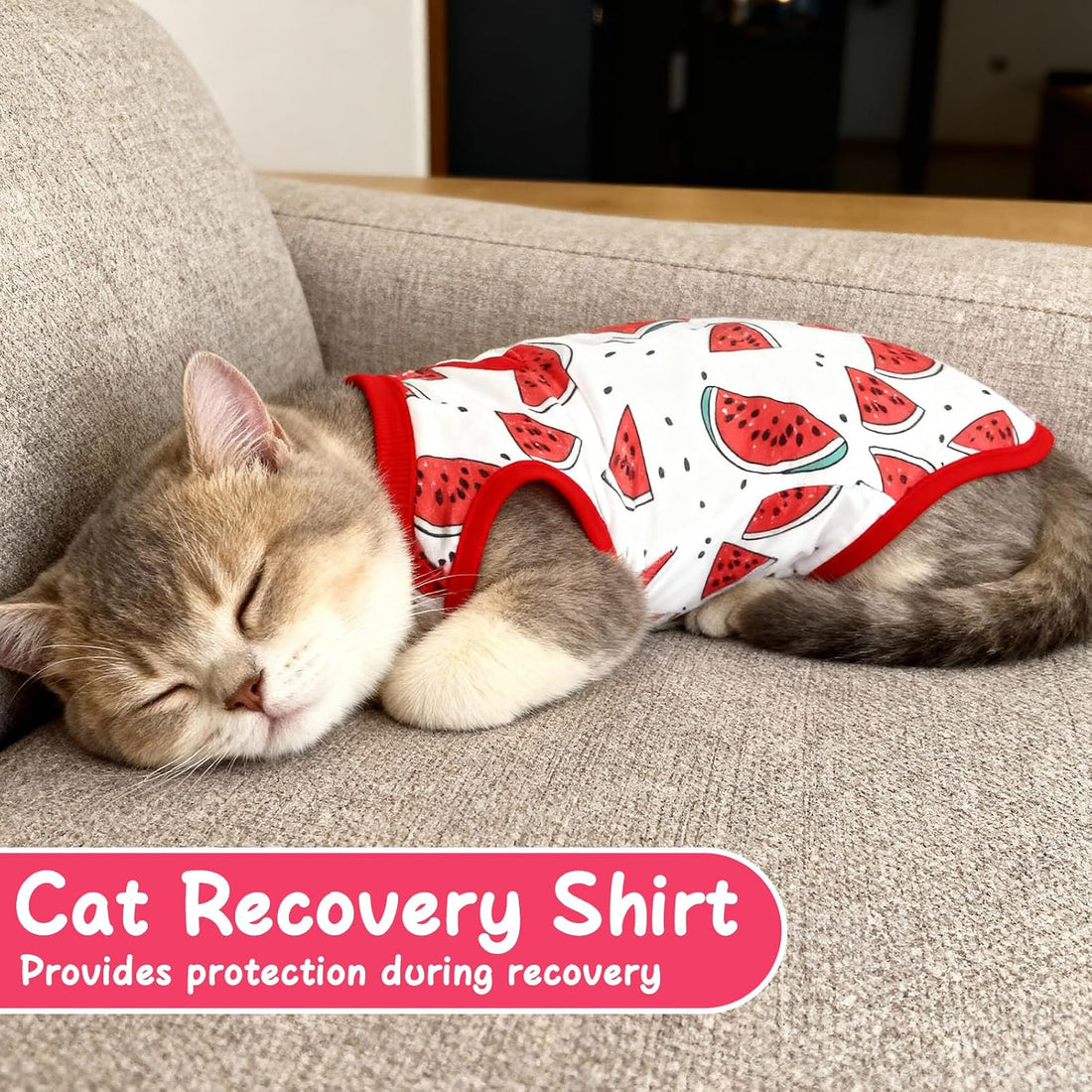 Meyeyaia 6 Pack Recovery Suit for Cats