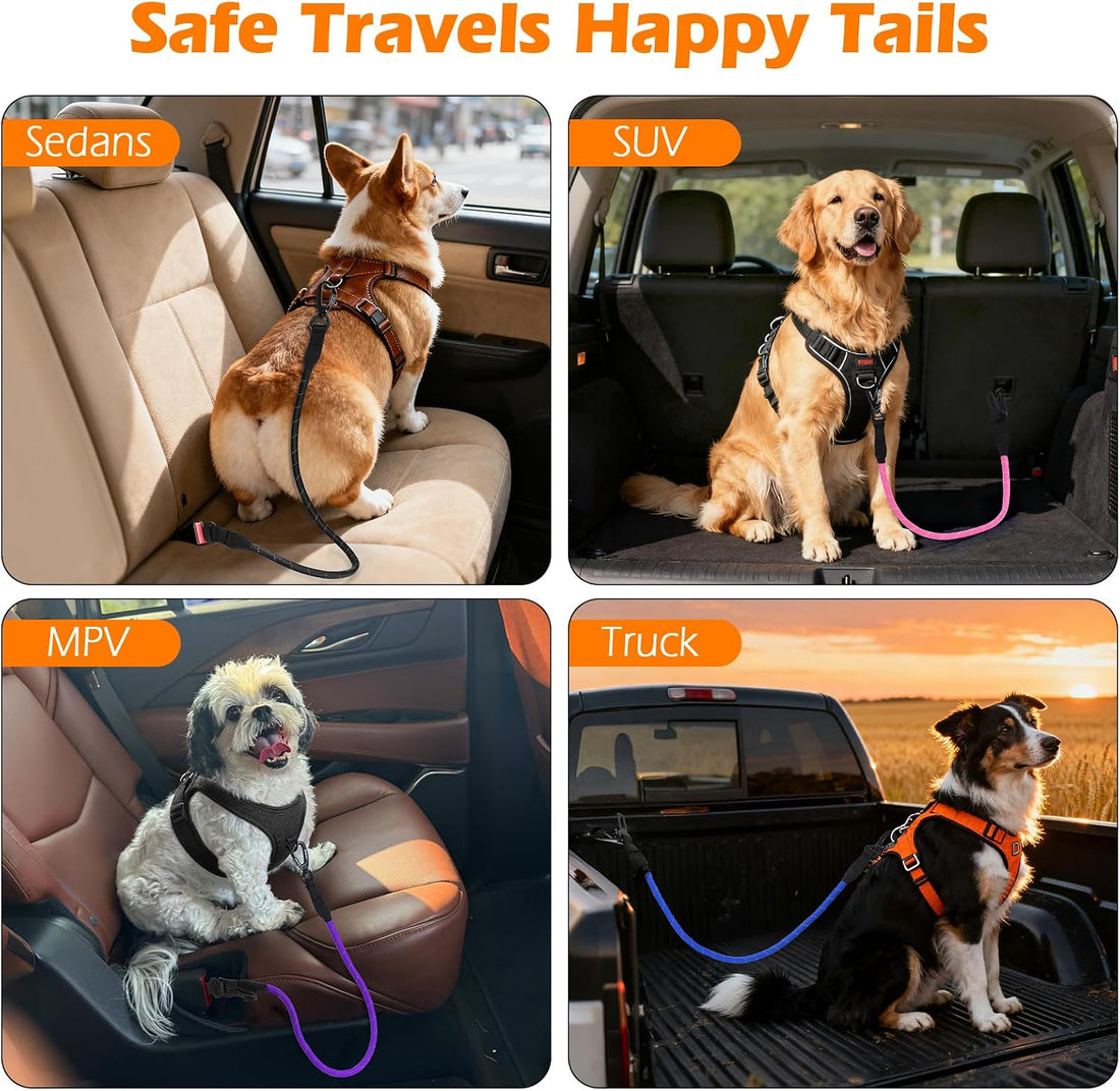 PetBonus Dog Seat Belt for Car