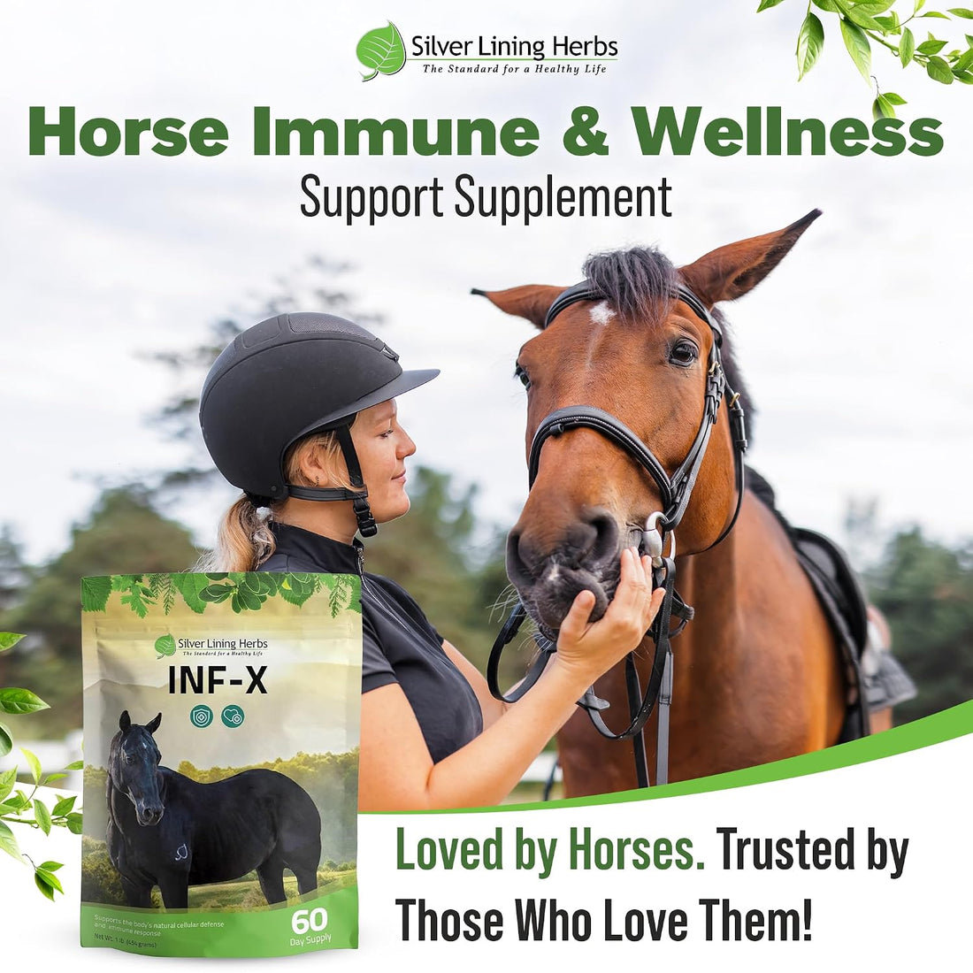 Silver Lining Herbs INF-X Horse Immune Booster Supplement - 1 lb
