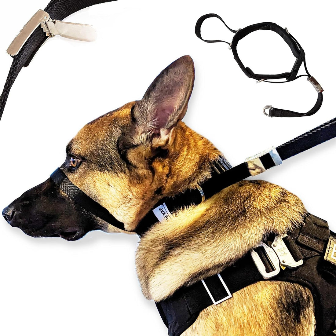 PetsProMax No-Pull Dog Headcollar for Extra Large Dogs