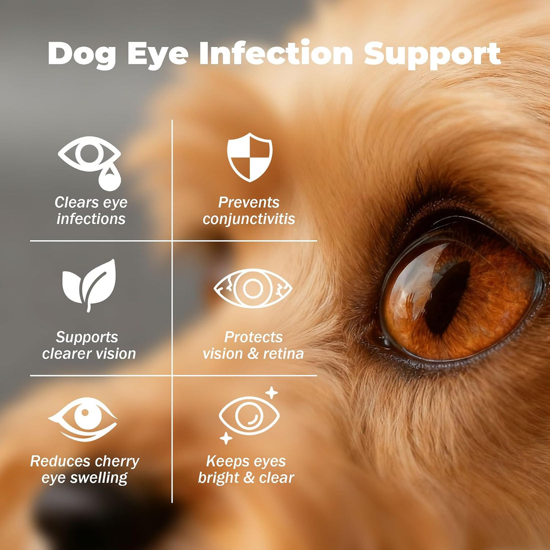Dog Eye Infection & Eye Care Support Supplements
