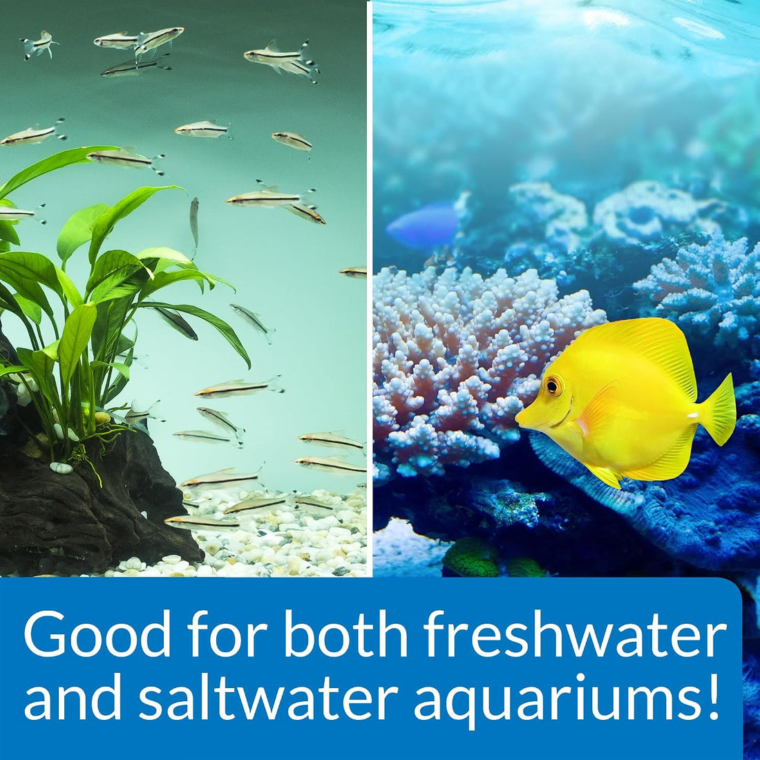 API STRESS ZYME Freshwater and Saltwater Aquarium Cleaning Solution