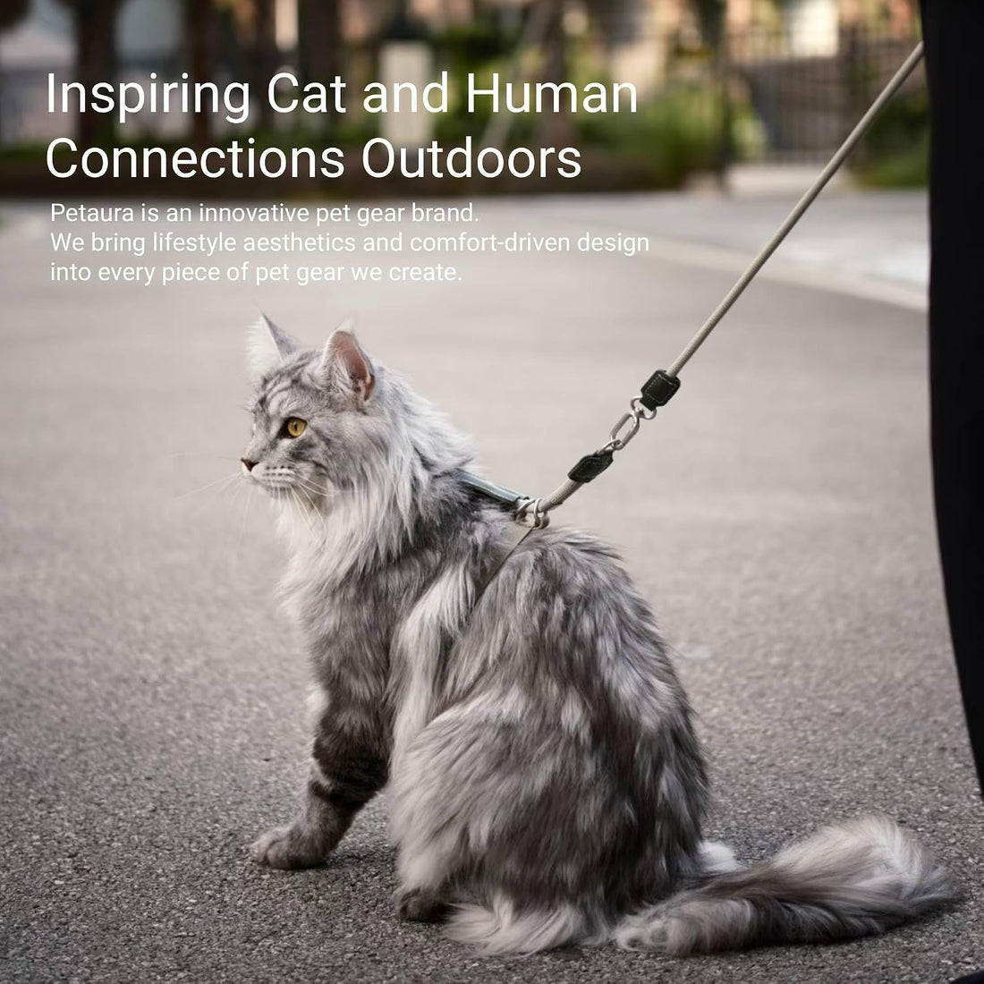 H-style Escape Proof Cat Harness and Leash Set