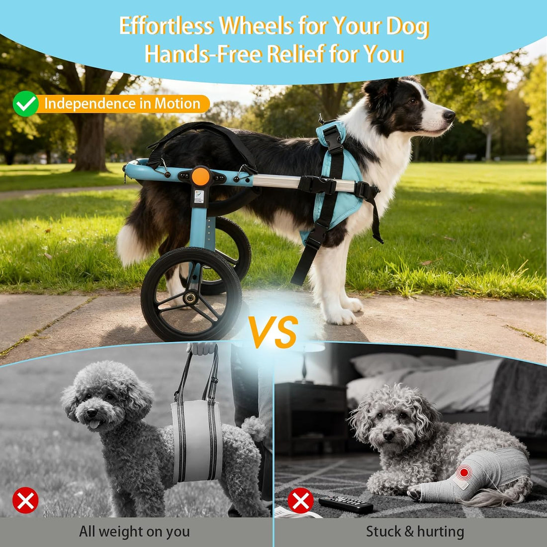 TailWaggers Dog Wheelchair for Back Legs | Adjustable Mobility Aid