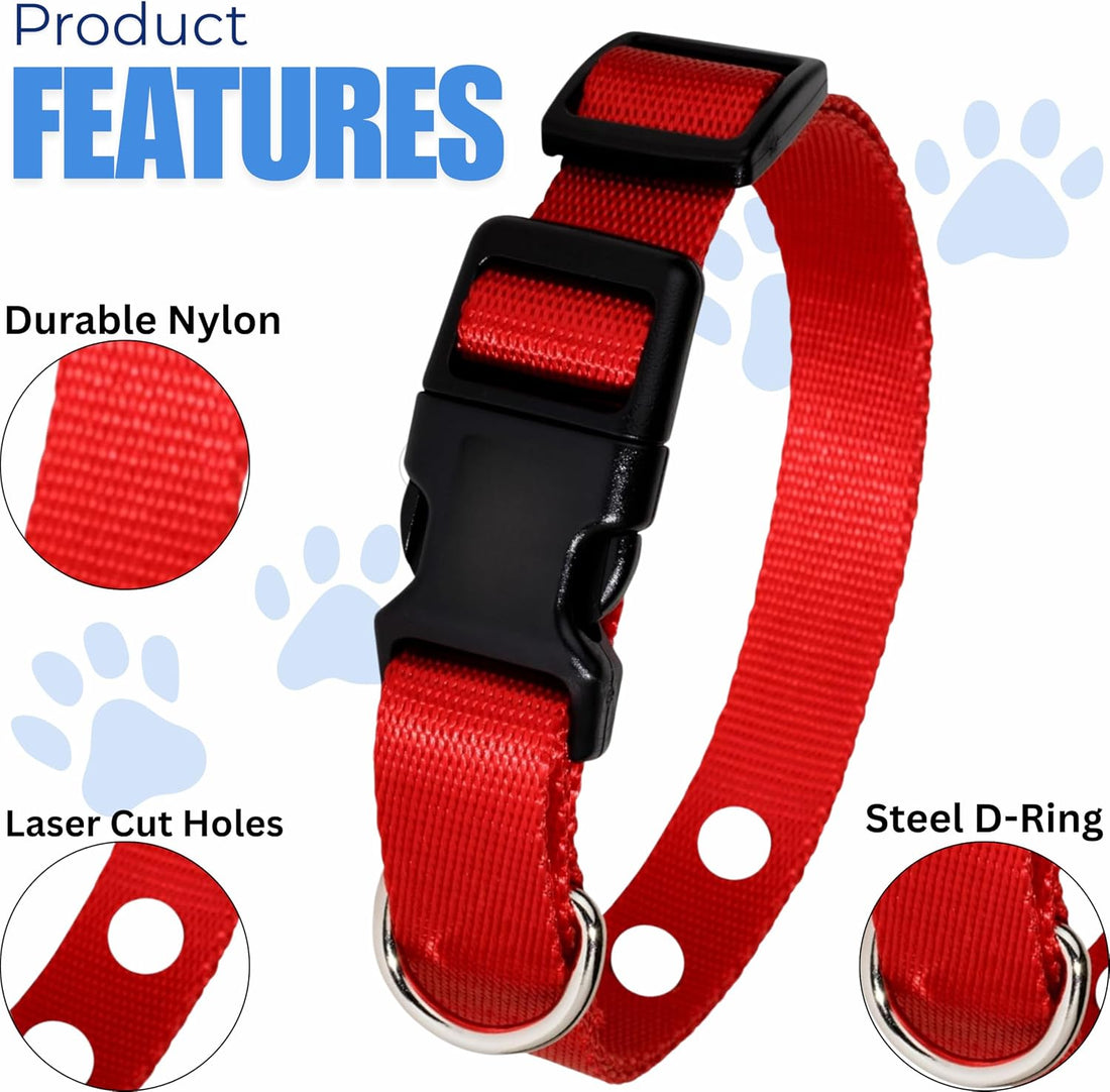 3/4" Orange Replacement Collar Strap