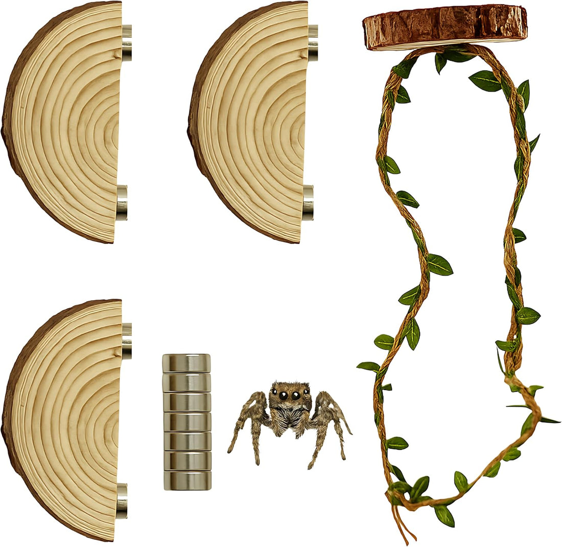 Jumping Spider Enclosure Accessories - 3 Wood Ledges & 1 Climbing Rope