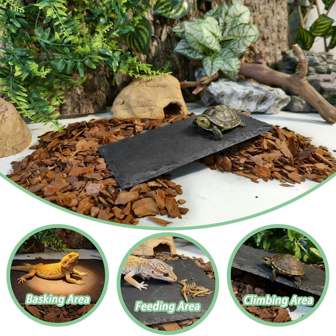 Bearded Dragon Basking Platform Rock Slate with Bark Substrate,M