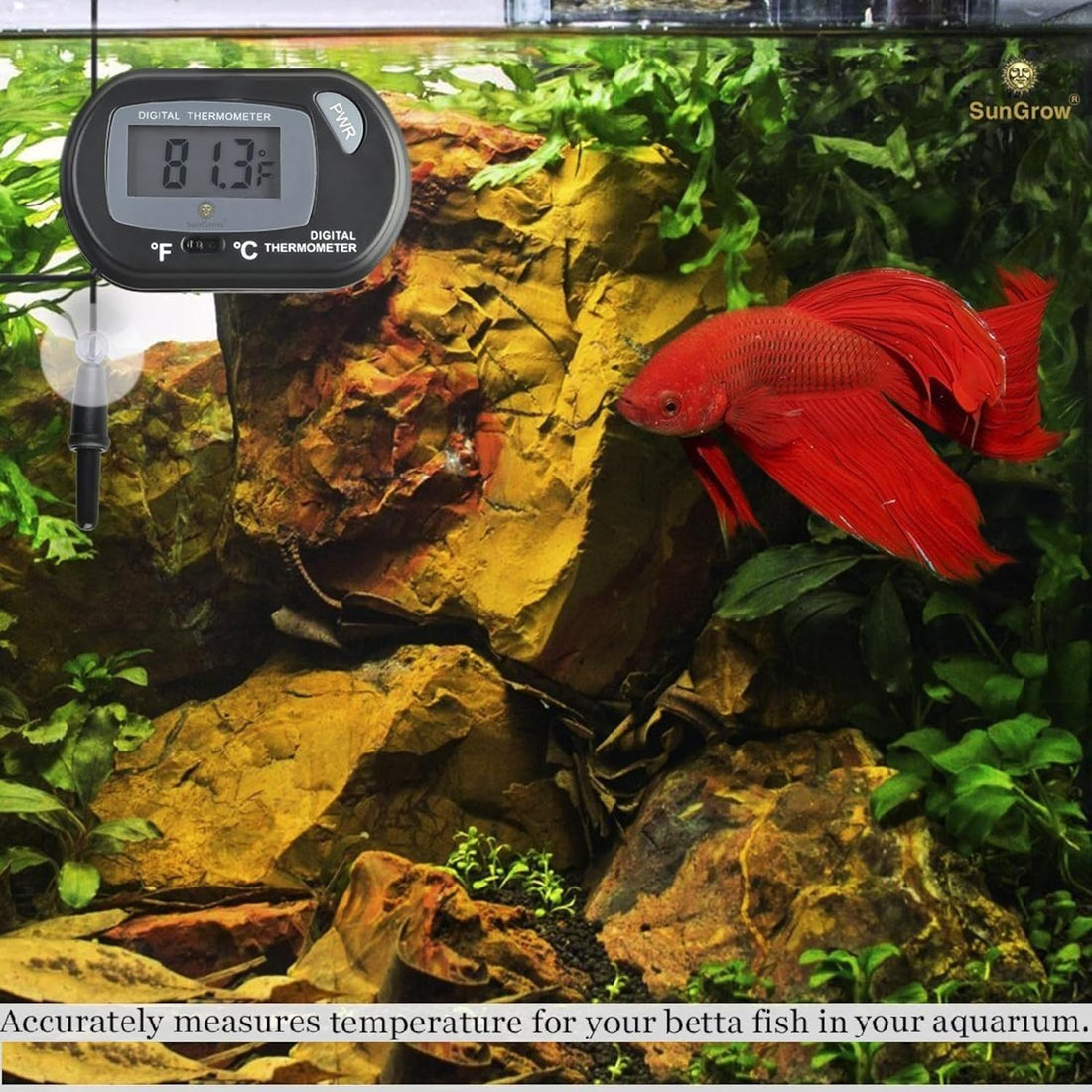 SunGrow Digital Betta Thermometer for Tropical Aquarium Fish