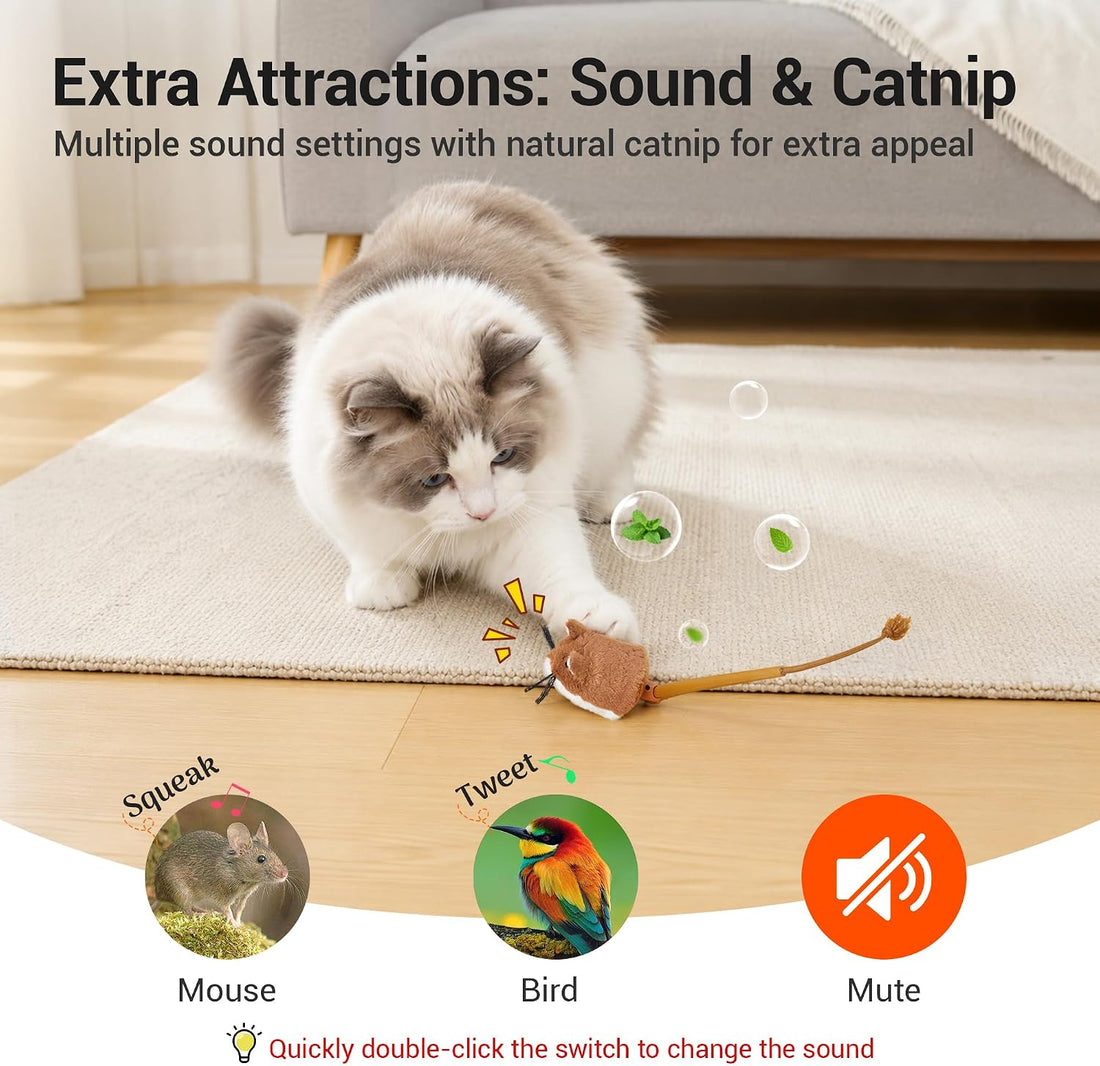Potaroma Interactive Cat Toy Rechargeable Motion Activated Rolling