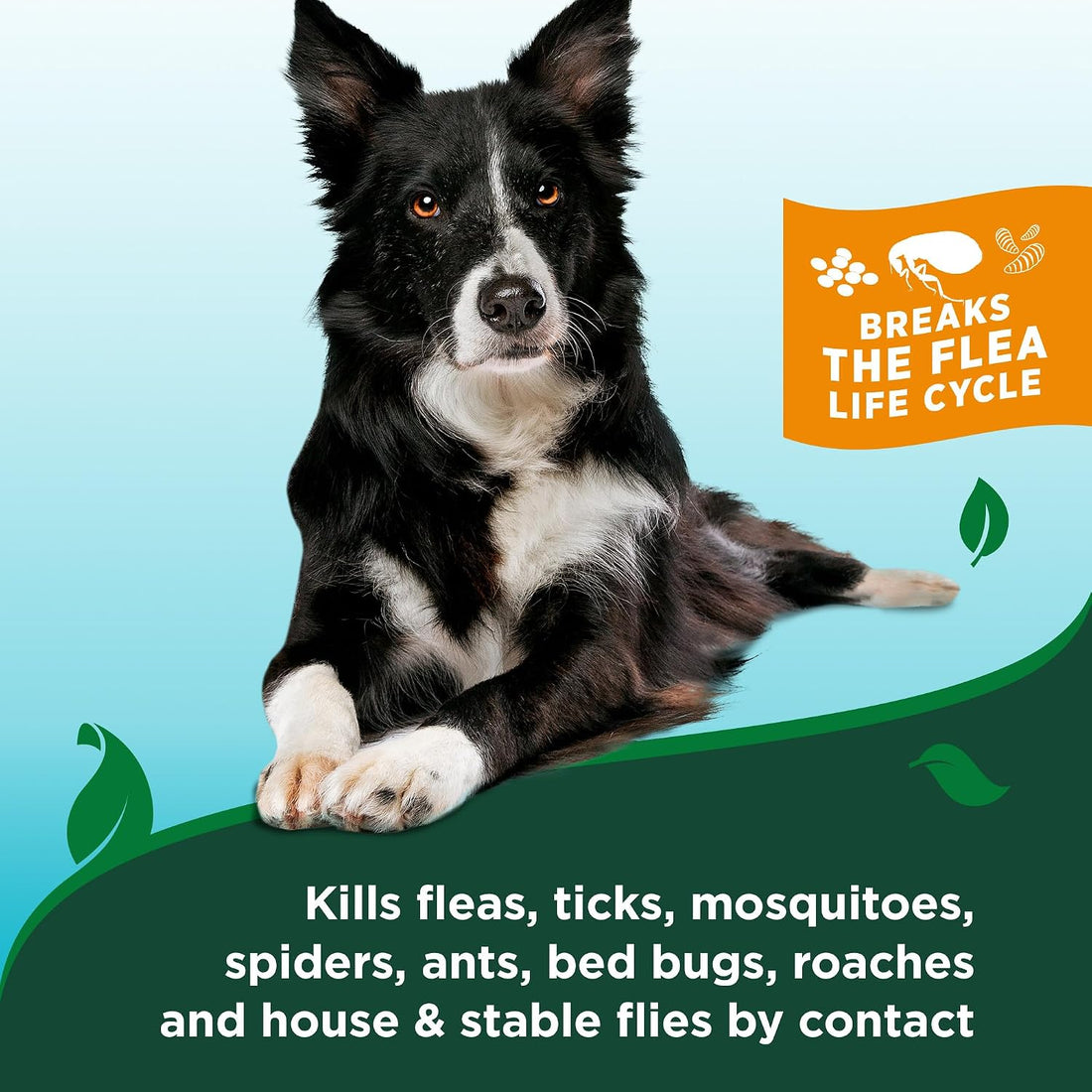 Vet's Best Flea and Tick Shampoo for Dogs