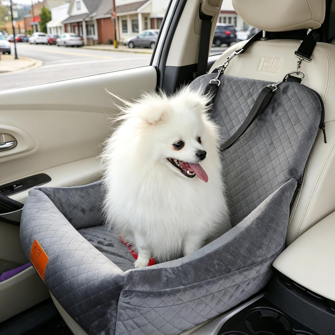 Small Dog Car Seat & Travel Bed:Keep Your Pup Safe,Comfortable