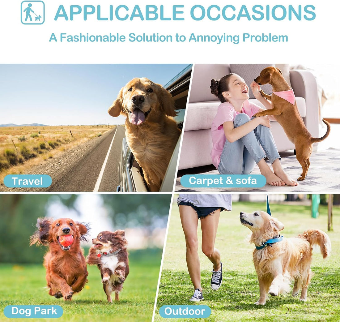 Avont 3 Pack Reusable Dog Diapers Female-Strawberry/Orange/Cherry