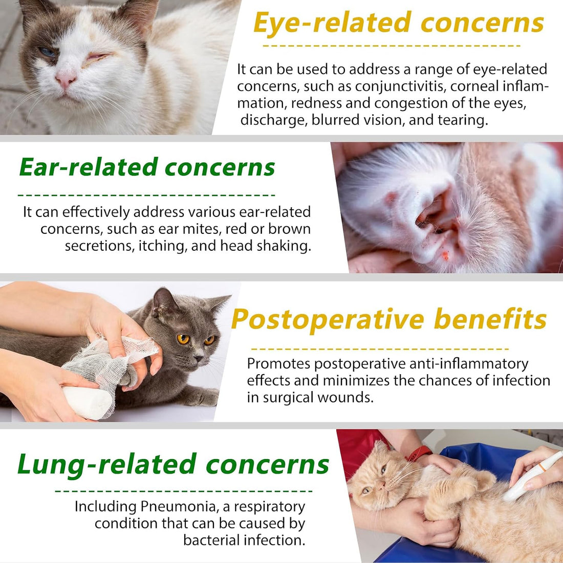60ml Cat Antibiotics for Infections Antibiotics for Cats Cat
