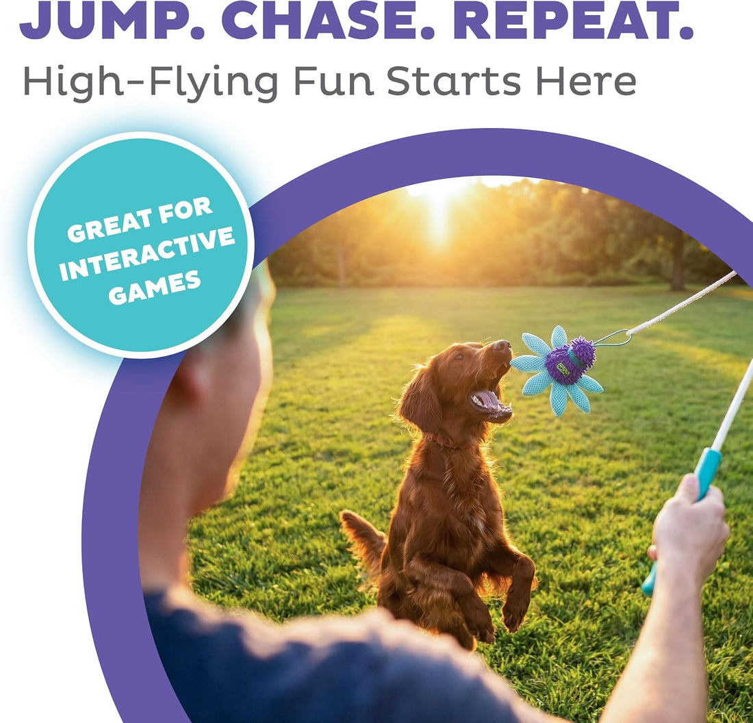 Outward Hound FlyFetch Teaser Wand Dog Toy with Crinkle Attachment