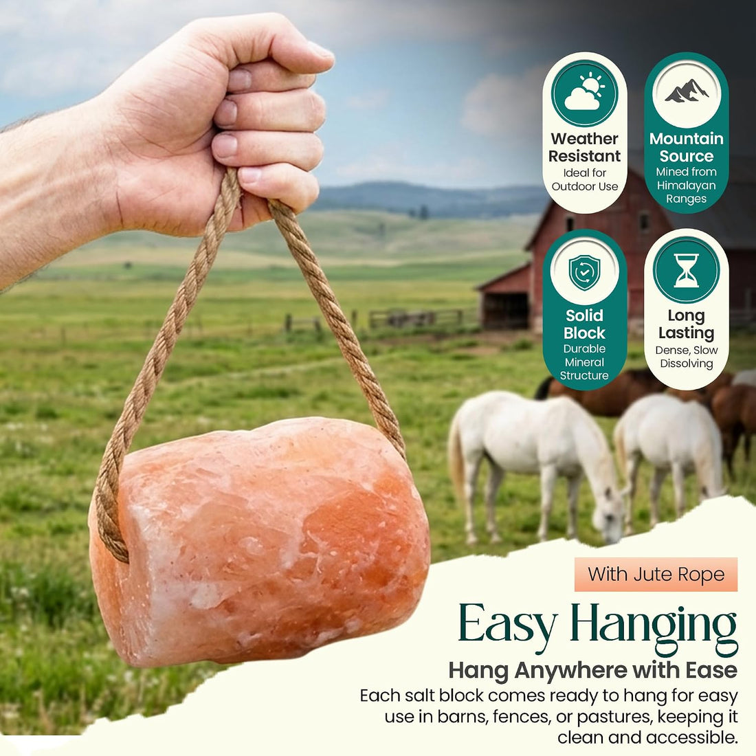 Himalayan Pink Salt Lick On Rope 6lbs for Horses, Deer