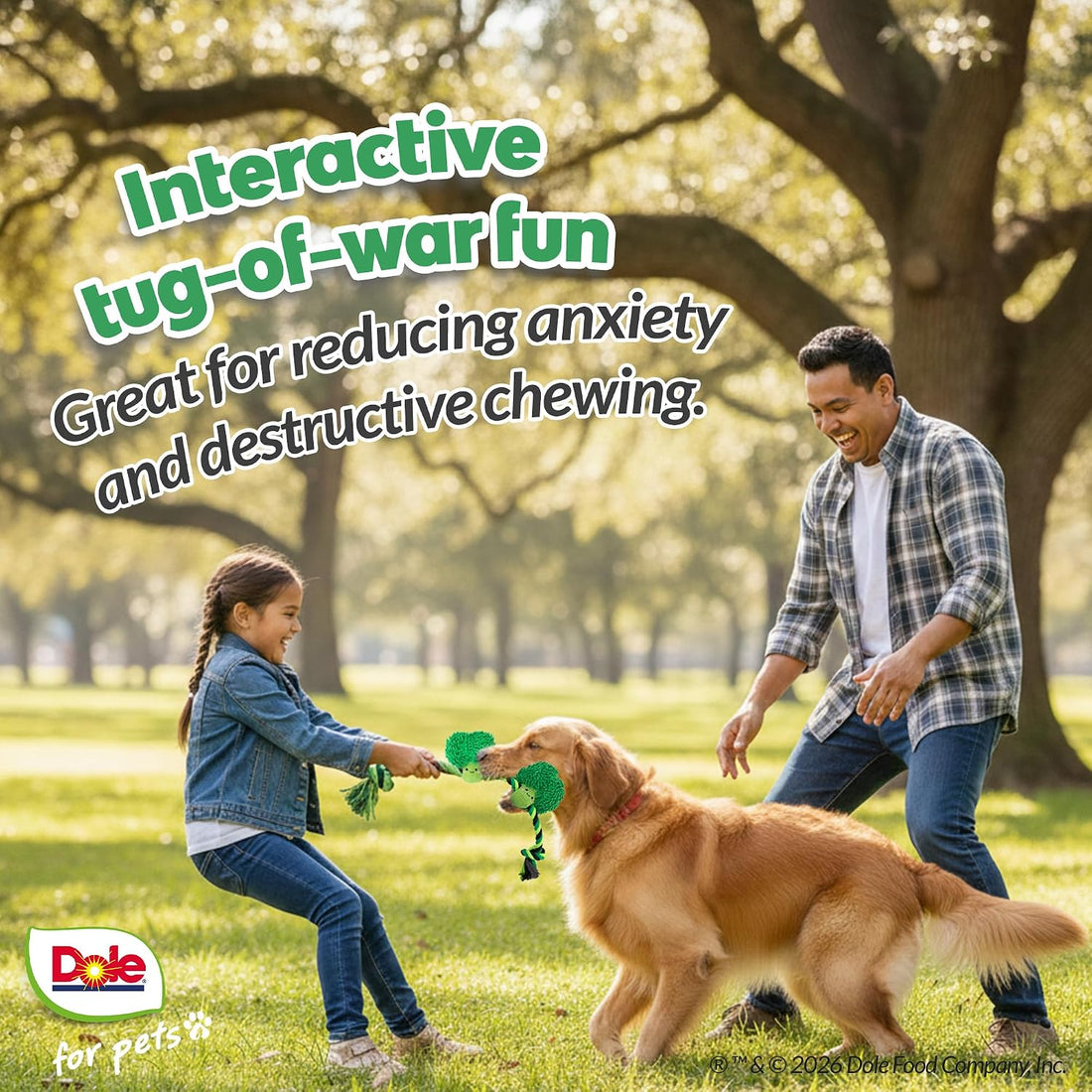 Dog Rope Toy with Squeakers, Broccoli Tug of War Dog Toy