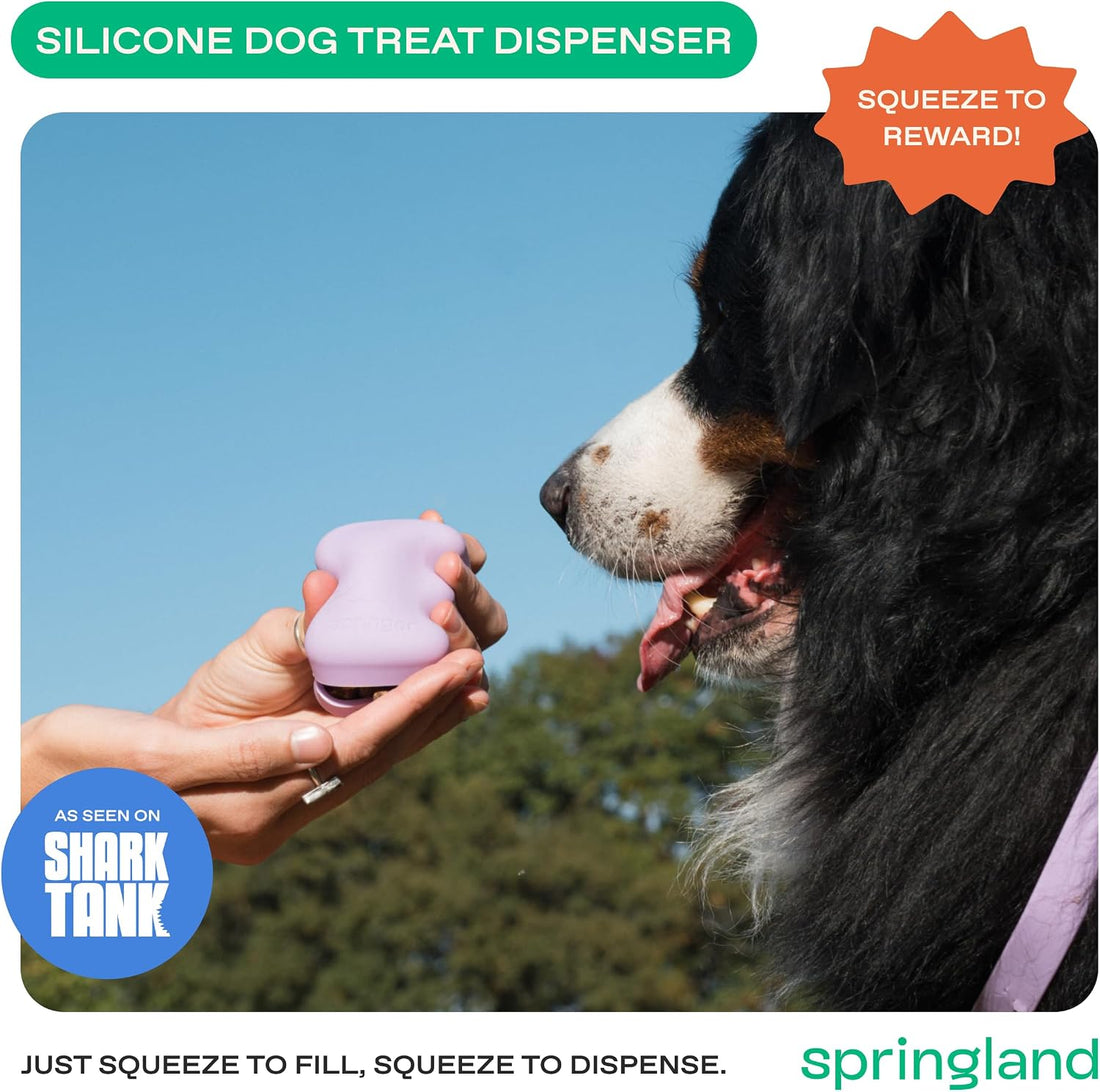Springland Silicone Dog Training Treat Pouch for Leash