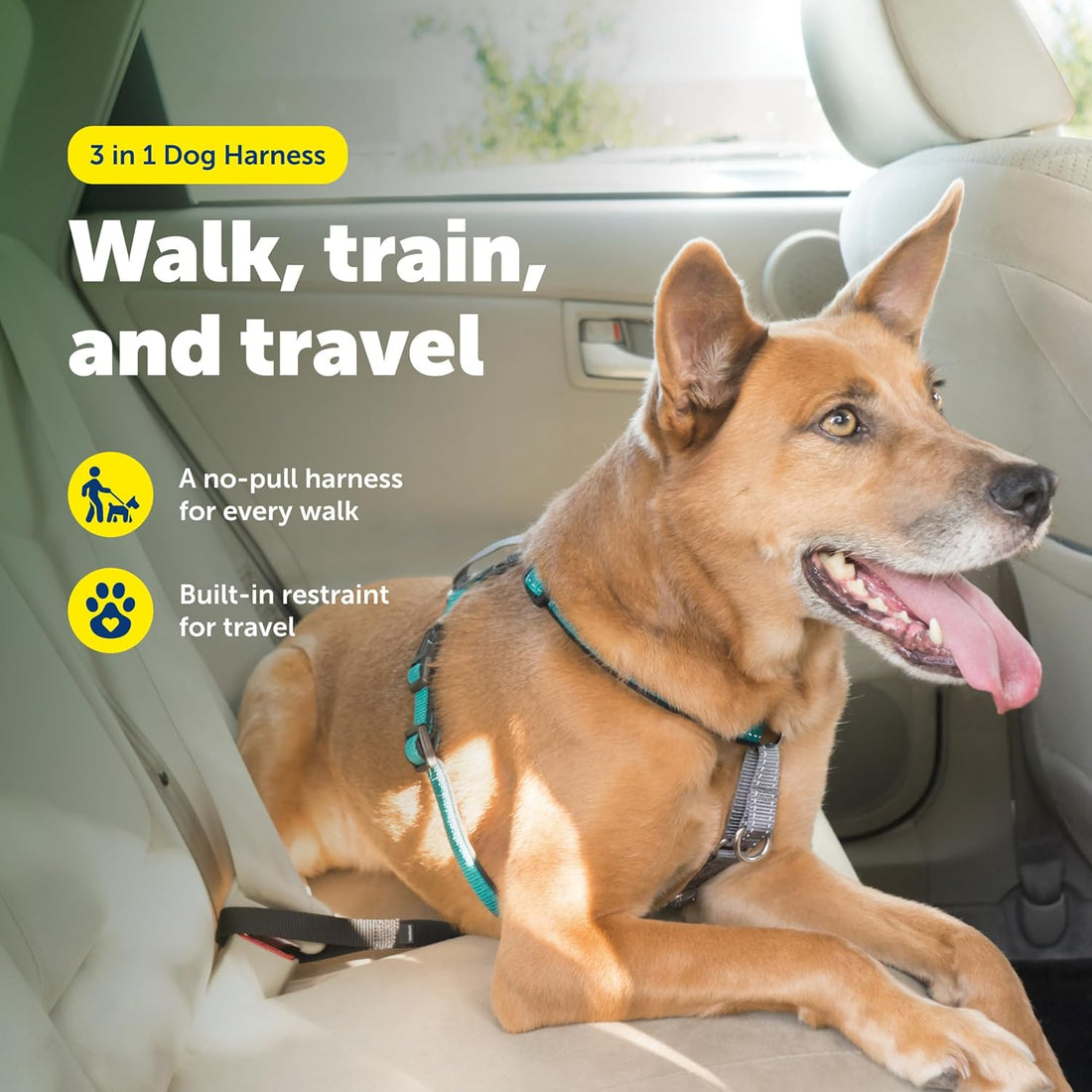 PetSafe 3 in 1 No-Pull Dog Harness - Walk, Train or Travel