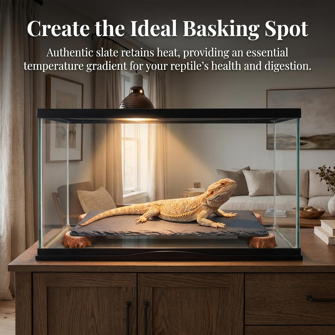 Bearded Dragon Basking Platform