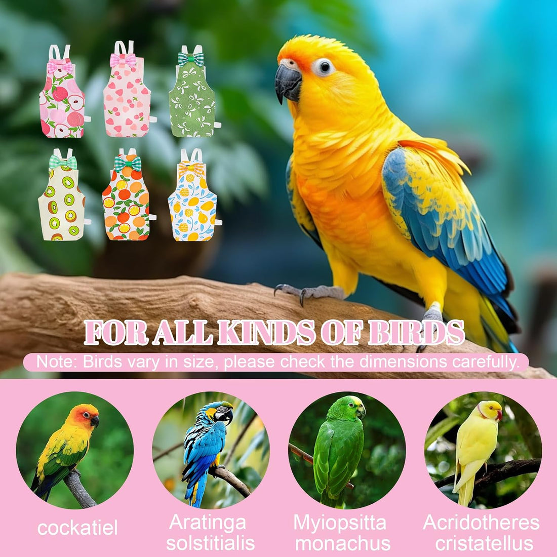 6Pcs Bird Diaper - Cute Parrot Pants with Waterproof (Medium)