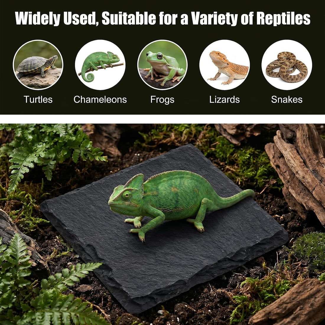 Yuanchu Reptile Basking Platform, Slate Tortoise Rock Plate