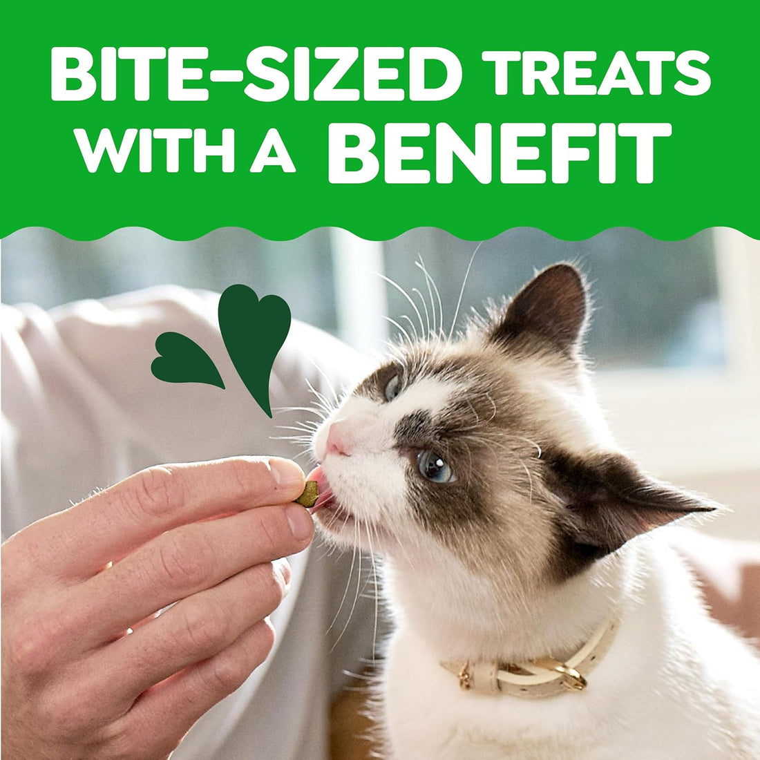 Greenies Feline Smartbites Skin & Fur Health Cat Treats, Salmon