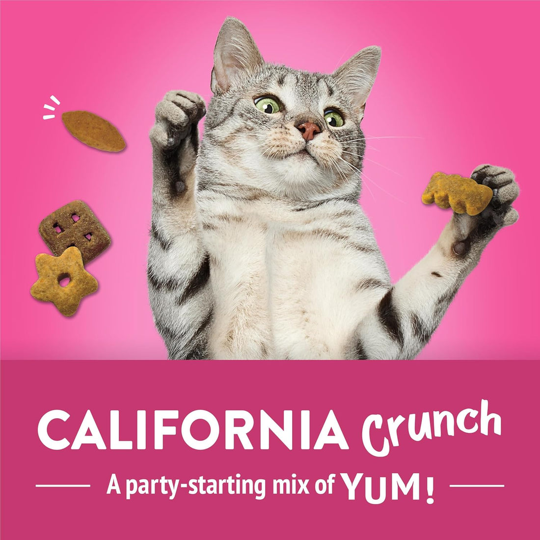 Purina Friskies Party Mix California Crunch with Chicken and Flavors