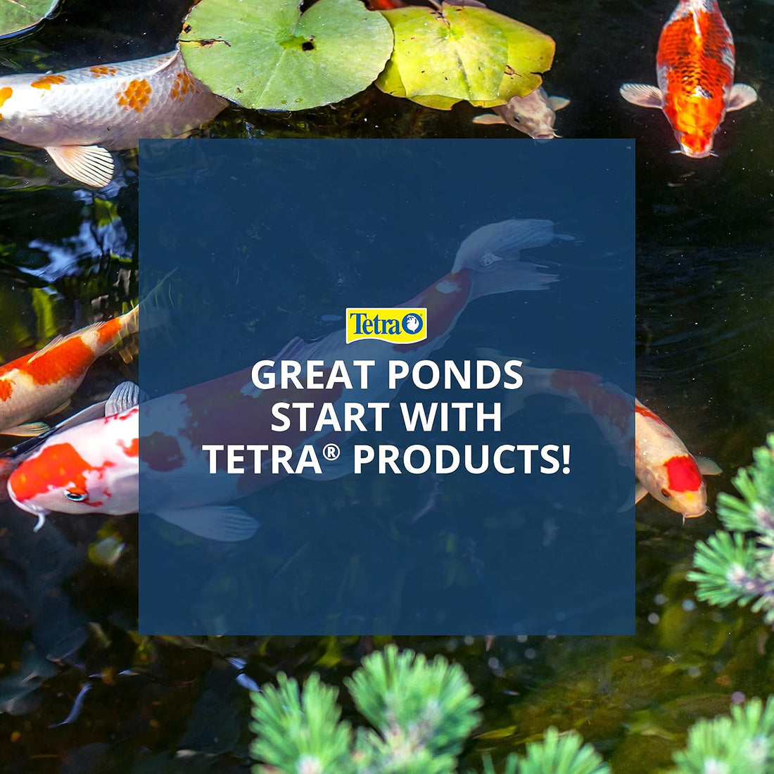 TetraFauna ReptoGuard Turtle Health Conditioner 3 Count, Slow-Release