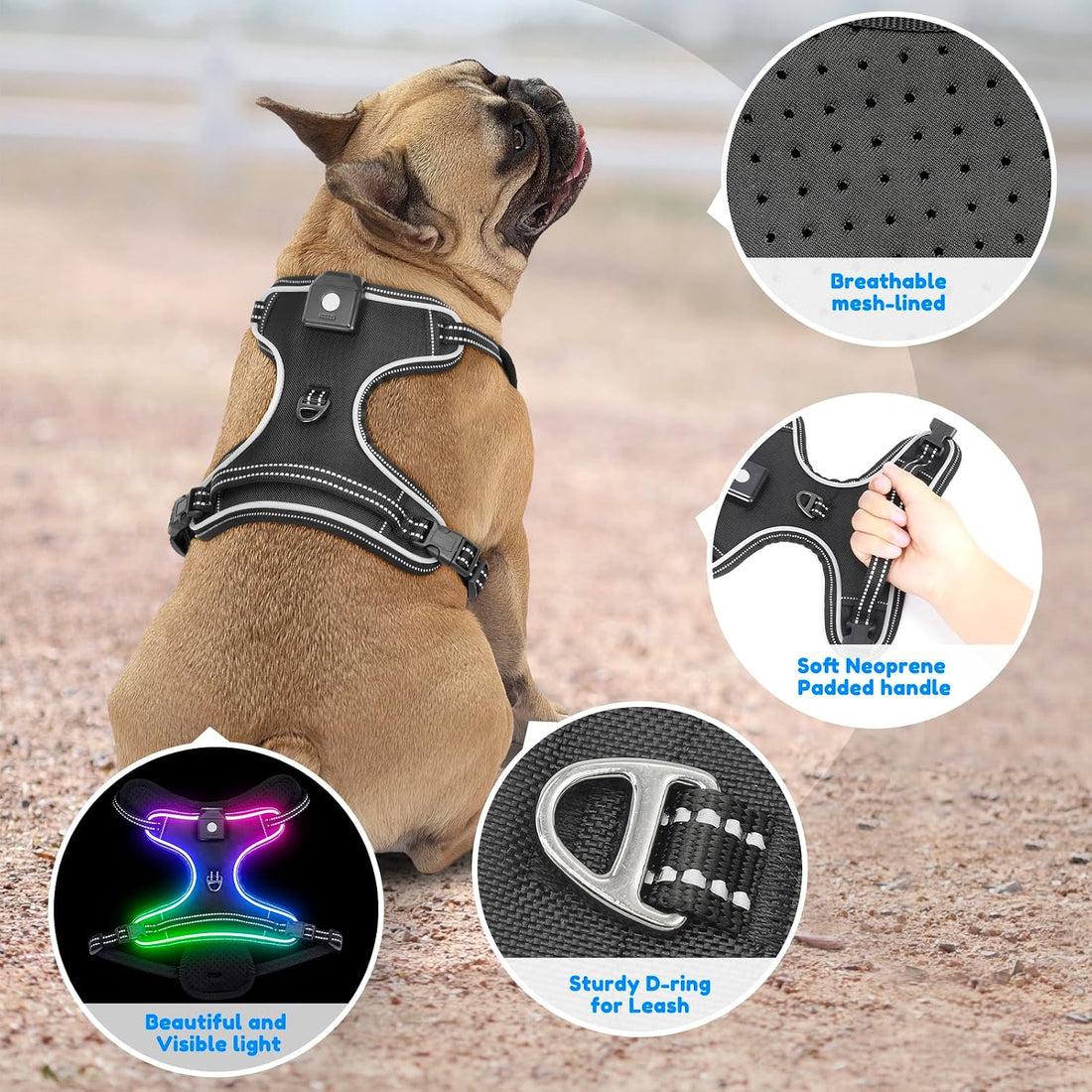Light Up Dog Harness, LED Rechargeable Safety Dog Harness for Night