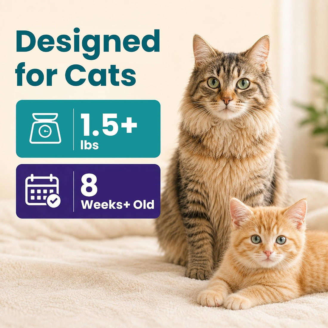 12Pcs Cat Flea&Tick Topical Drops