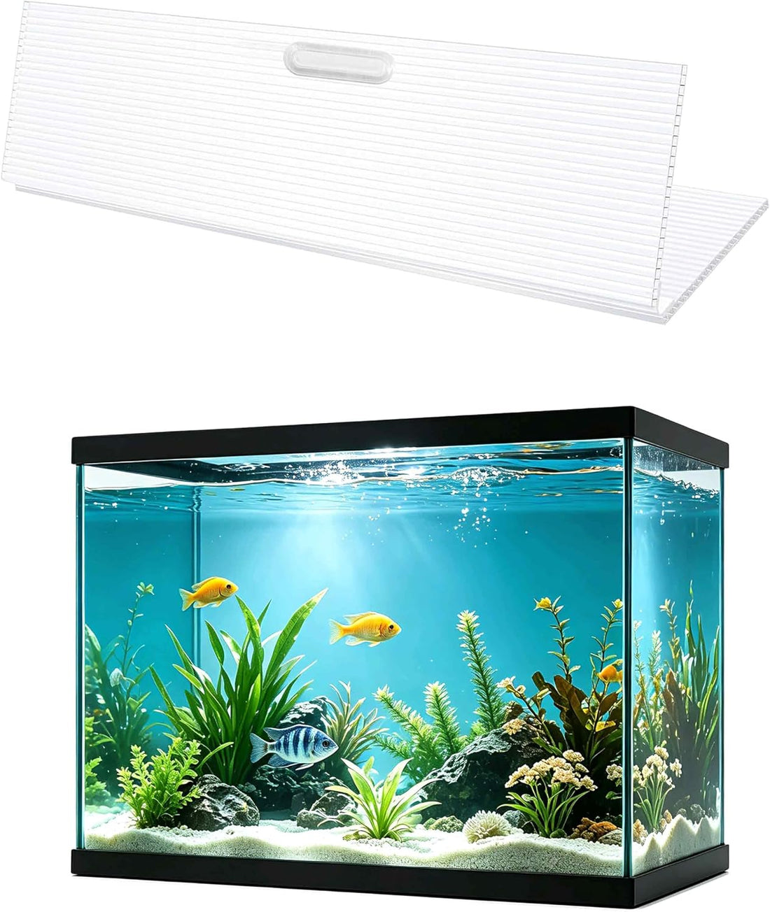 Aquarium Canop Polycarbonate 15.37 x 7.63 x 0.24 for 5/10 Gallon