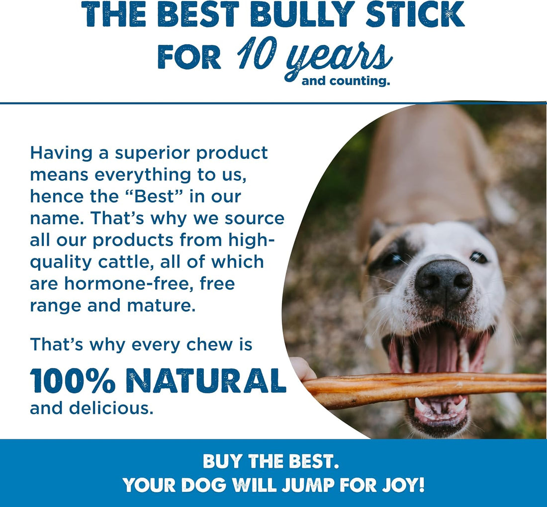 Best Bully Sticks Braided Bully Sticks Dog Chews, 12", 3 Count