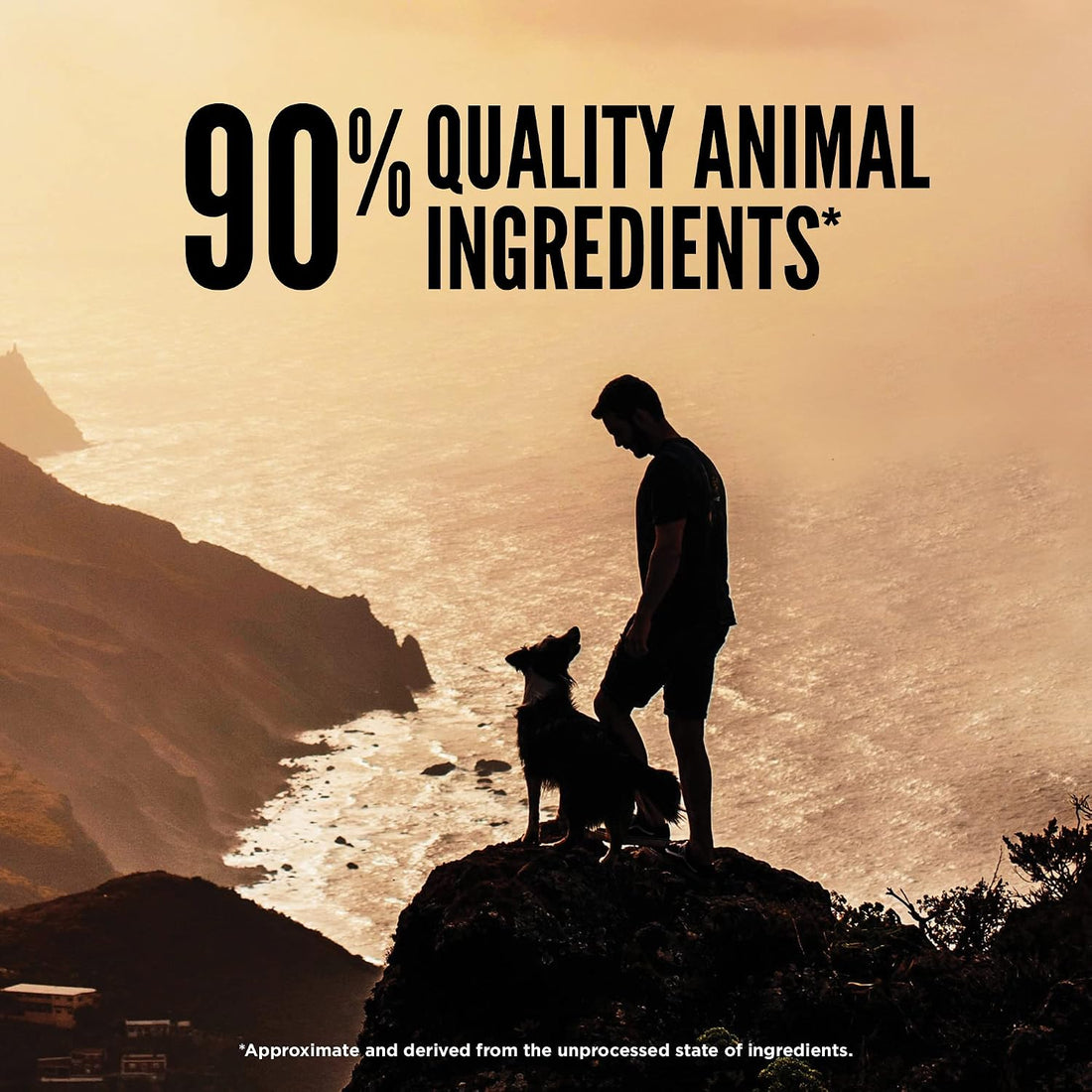 ORIJEN Grain Free High Protein Freeze Dried Dog Food & Topper