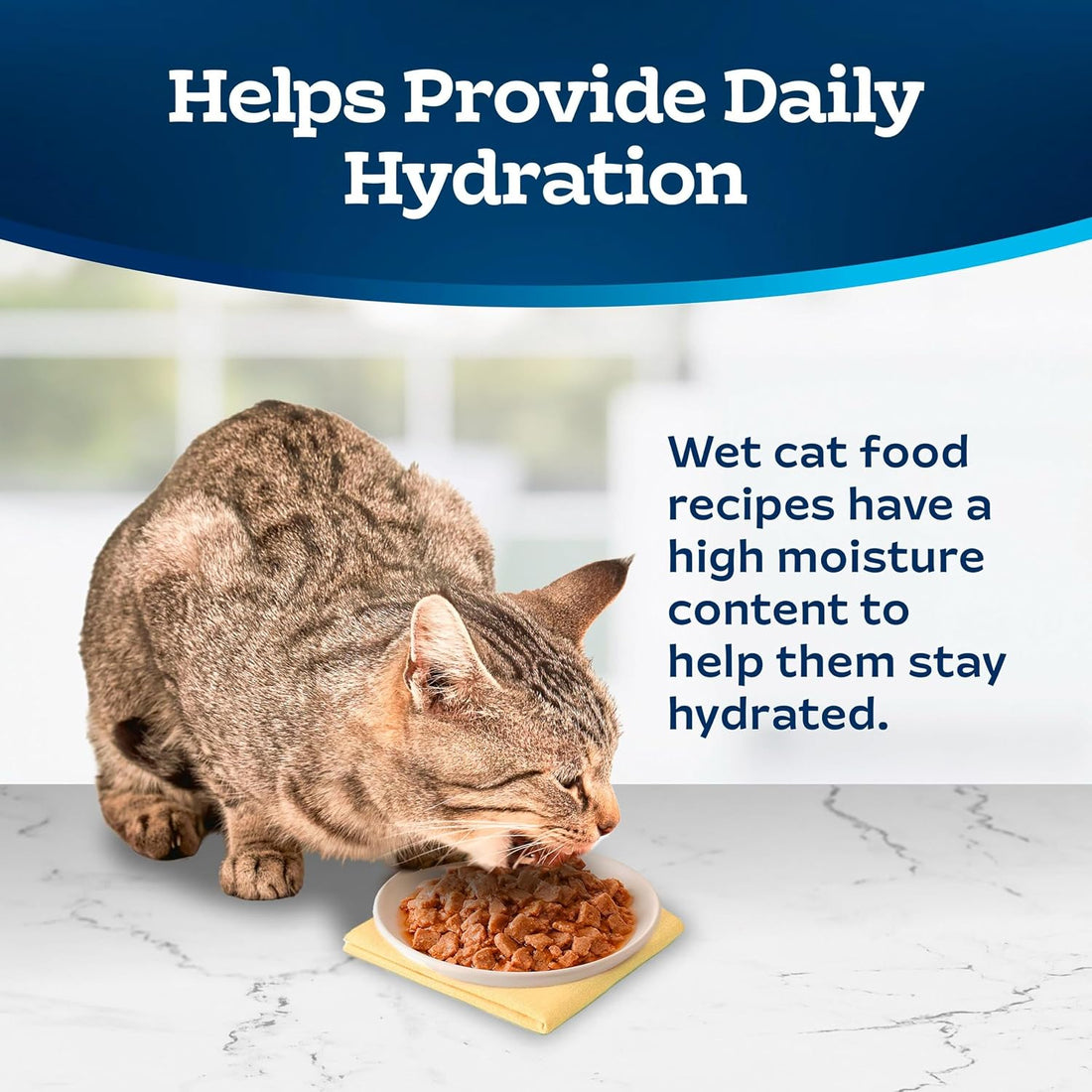 Blue Buffalo Tastefuls Wet Cat Food Paté Variety Pack for Adult Cats