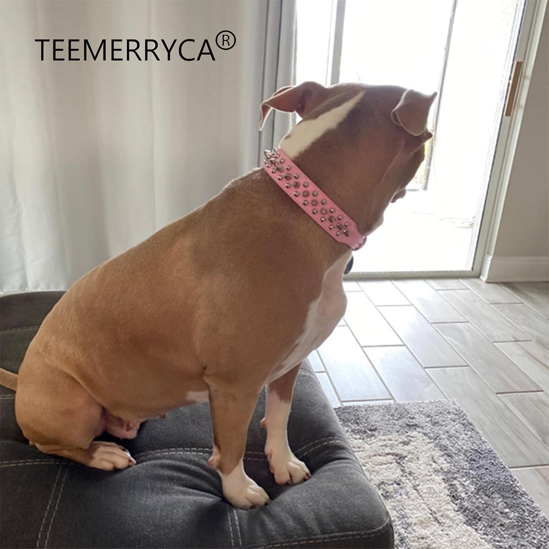 TEEMERRYCA Adjustable Leather Spiked Studded Dog Collars with