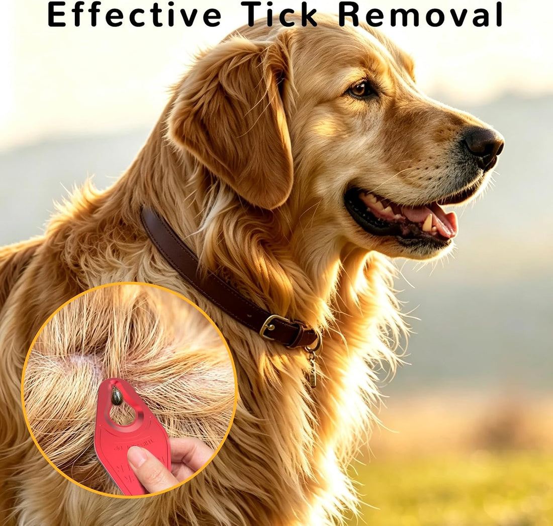 Tick Remover Tool 3 Pack – Tick Removal Tools for Dogs, Pets & Humans
