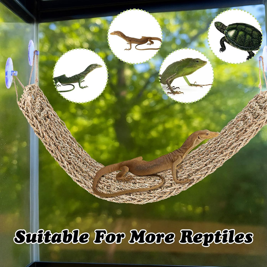 2 Pcs Bearded Dragon Hammock Reptile Lounger