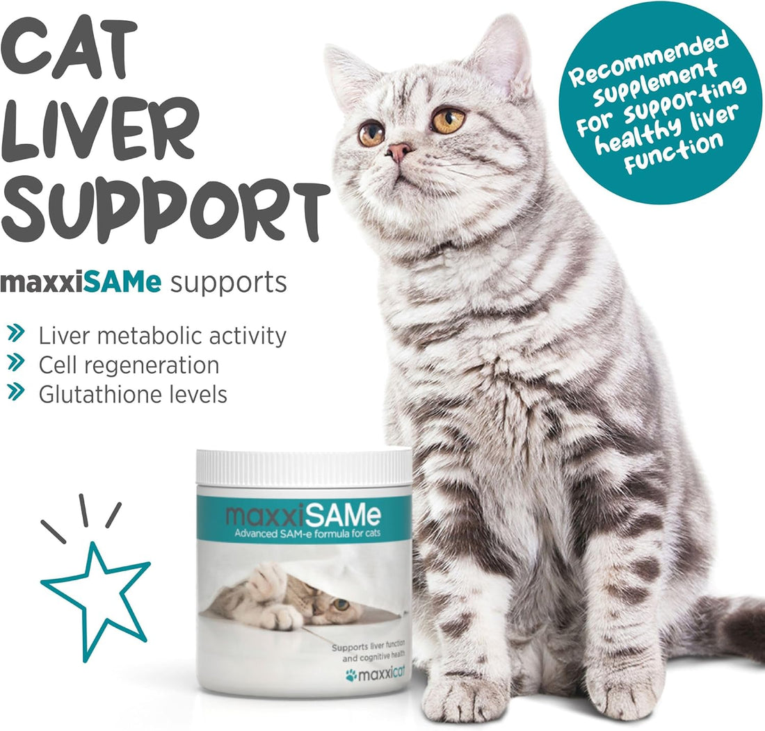 maxxipaws maxxiSAMe SAM-e for Cats