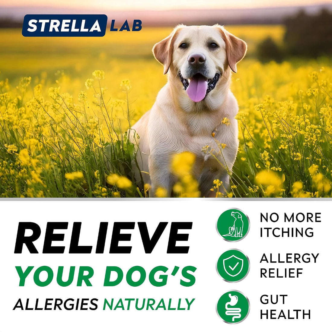 StrellaLab Dog Allergy & Itching Relief