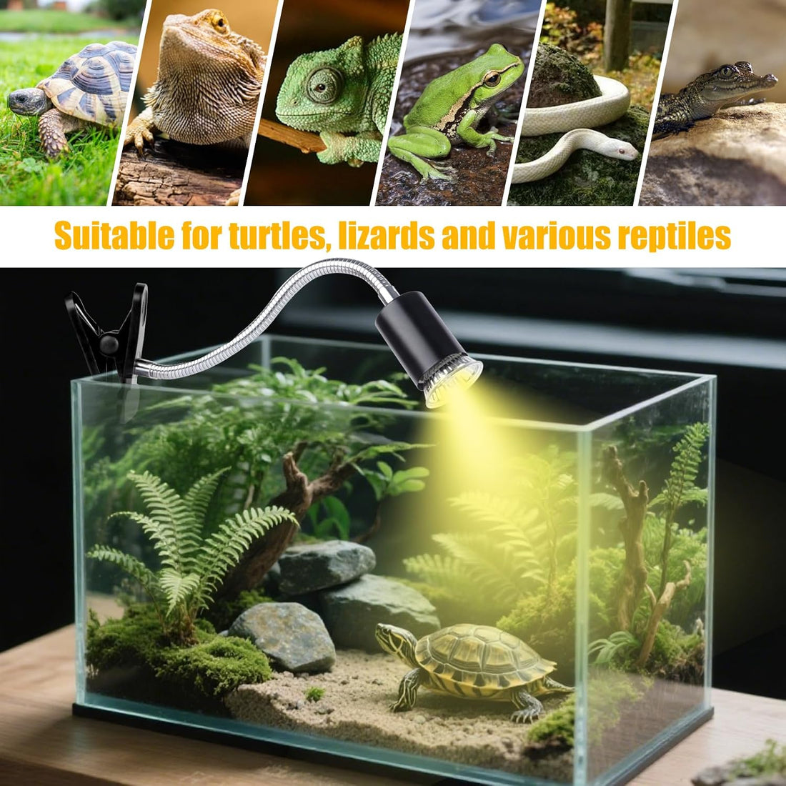 Turtle Basking Light, Tortoise Lamp UVA UVB Heat Bulbs -2 Pack 50W