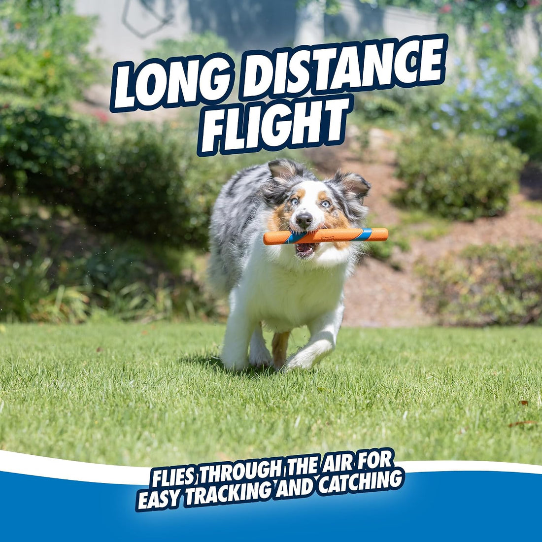 Chuckit! Ultra Fetch Stick Dog Toy Interactive Outdoor Toy for All
