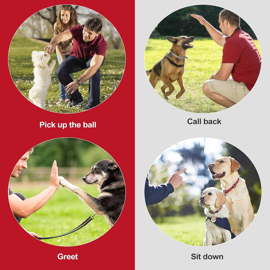 2 Pack Dog Whistle to Stop Barking