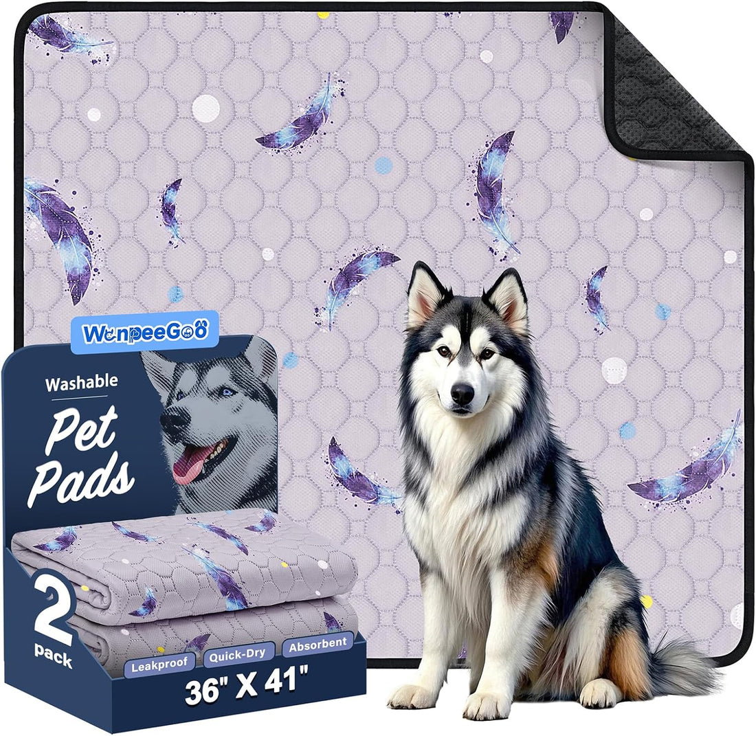 Washable Dog Pee Pads, Non-Slip Waterproof, 36 x 41 in, 2 Pack