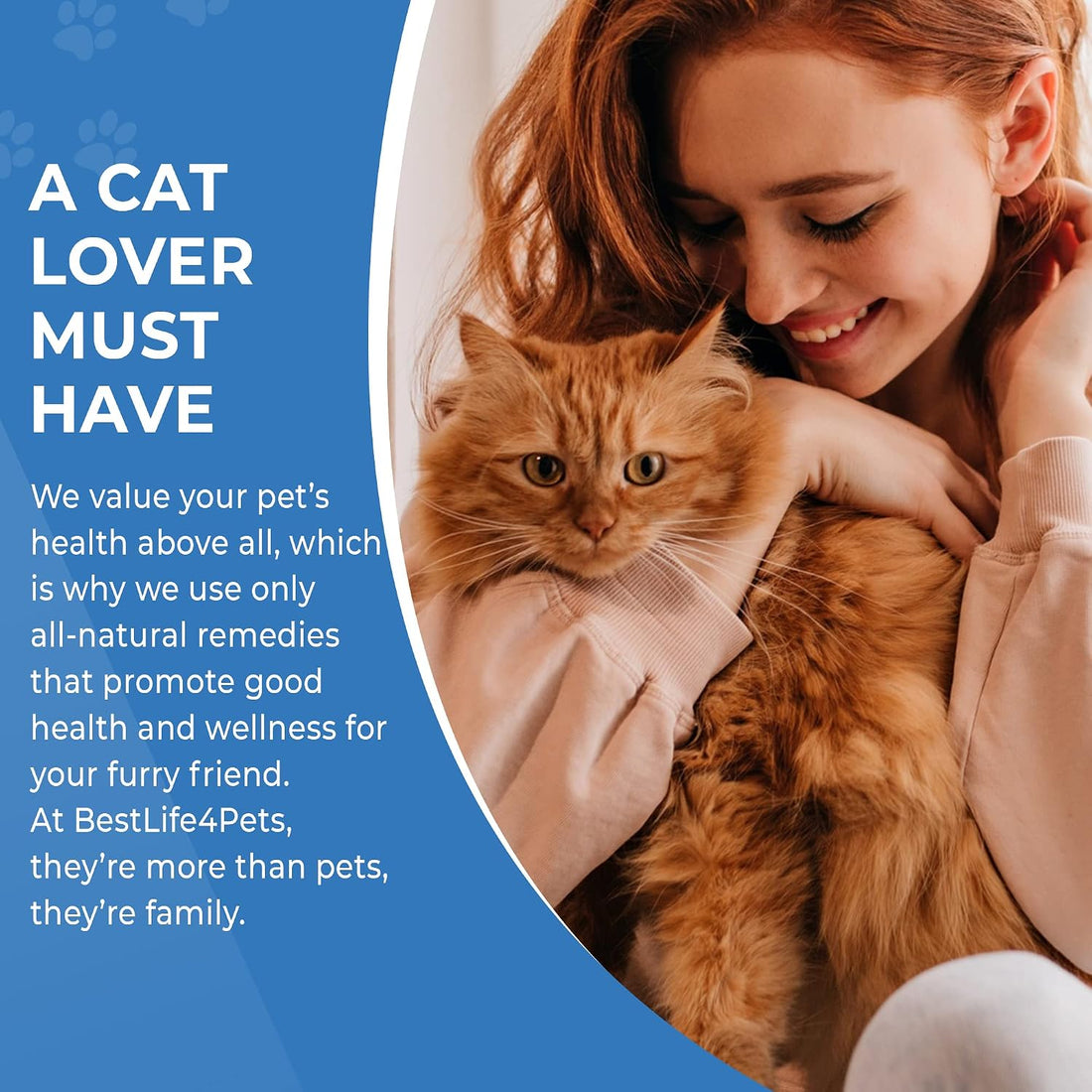 Cat Joint Supplement and Mobility Support
