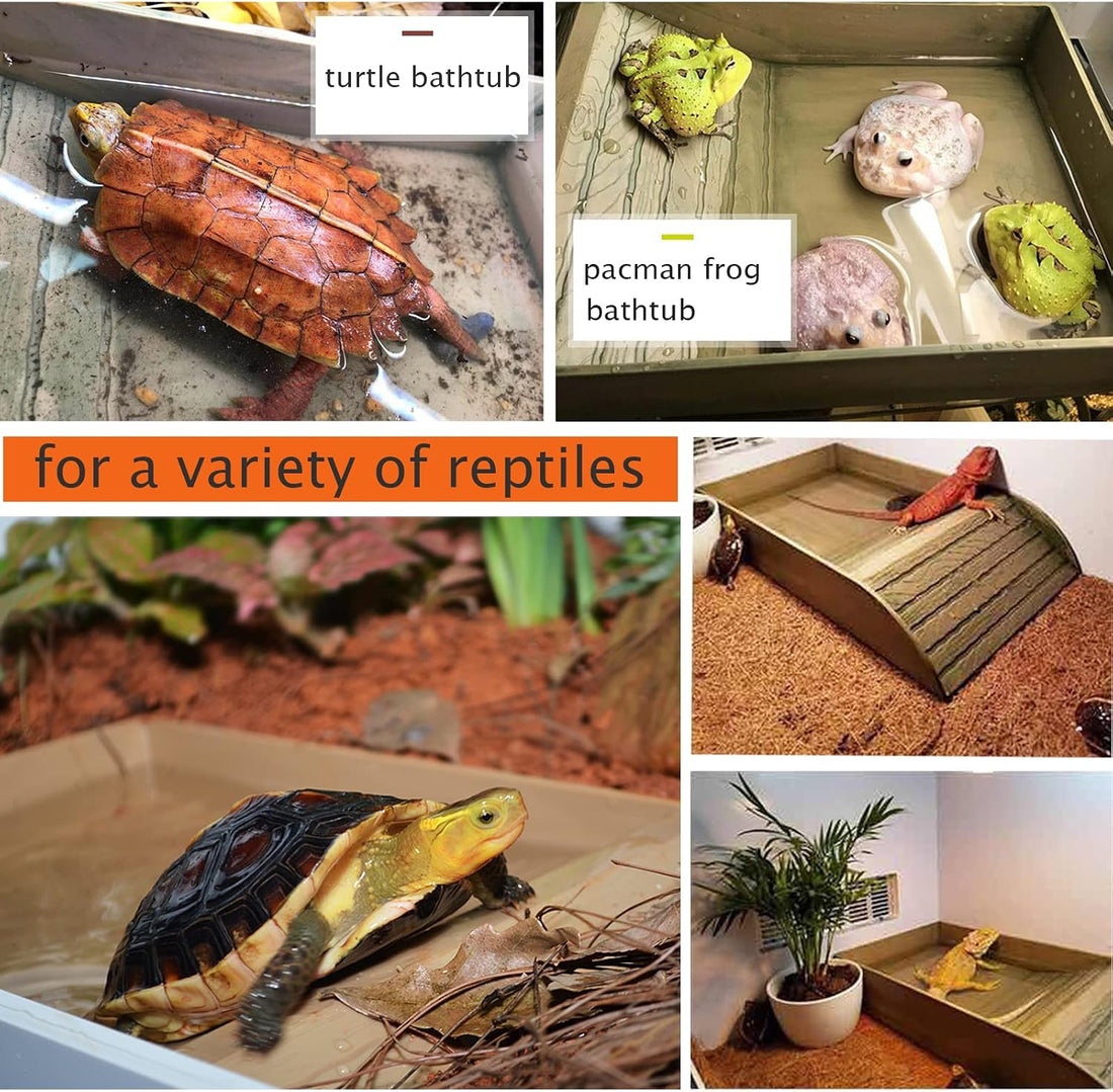 3pcs Tortoise Food Dish with Ramp and Basking Platform Leaf Tortoise
