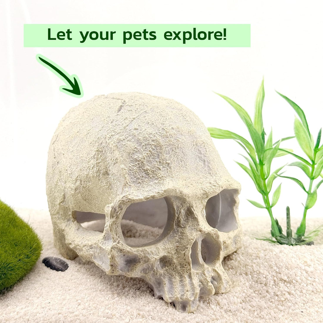 CTWPets Aquarium Human Skull Decor for Betta Fish